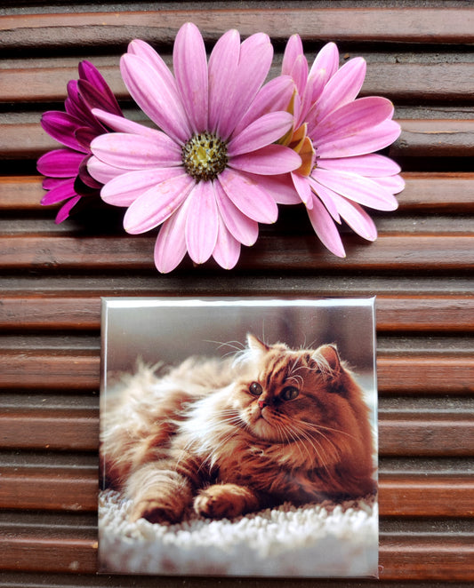 Magneți foto pătrați personalizați 65×65 mm – set de 12